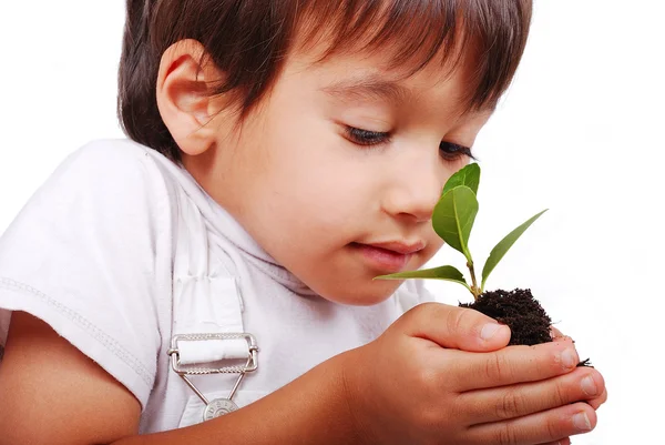 Pequena criança bonito segurando planta verde nas mãos — Fotografia de Stock