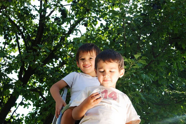 Children taking off the plum in vintage — Stock Photo, Image