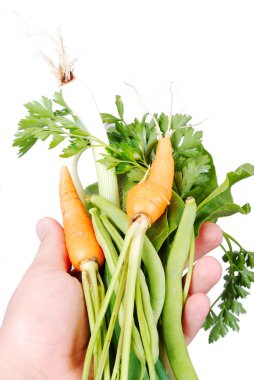 birçok çeşit sebze el