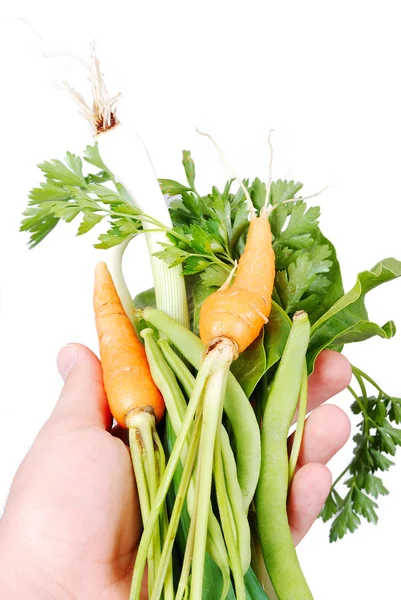 许多种类的蔬菜在手 — 图库照片