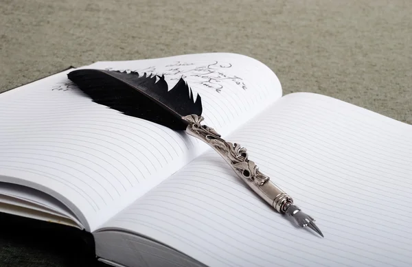 A feather on notebook — Stock Photo, Image