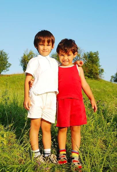 Pequeños niños lindos en hermoso campo verde — Foto de Stock