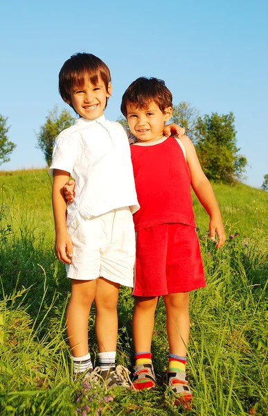 Pequeños niños lindos en hermoso campo verde —  Fotos de Stock