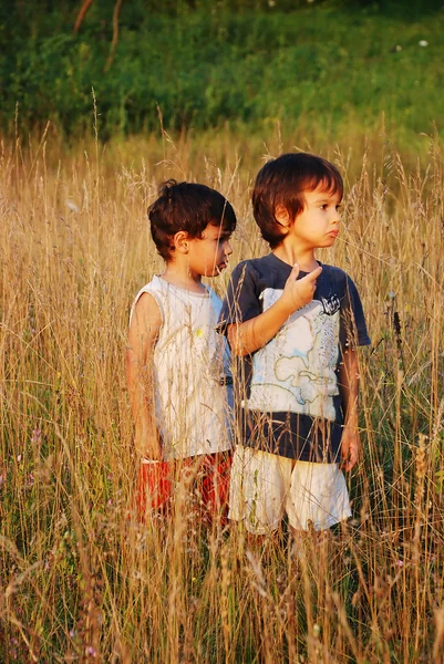 Niños felices en la hierba en el prado —  Fotos de Stock