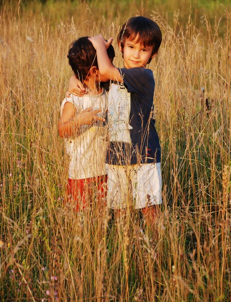 Happy little children in grass on meadow — Stock Photo, Image