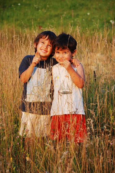 Niños felices en la hierba en el prado —  Fotos de Stock