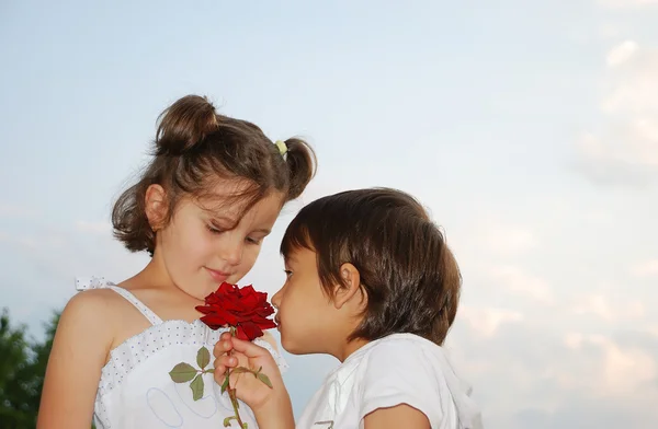 Hermosa escena de un niño y una niña con rosa — Foto de Stock