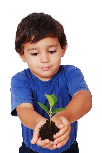 Pequena criança bonito segurando planta verde nas mãos — Fotografia de Stock