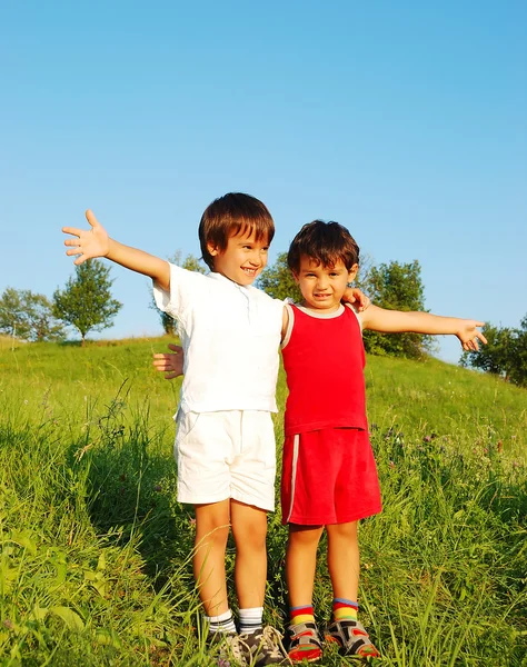 Little cute children on beautiful green field Stock Picture