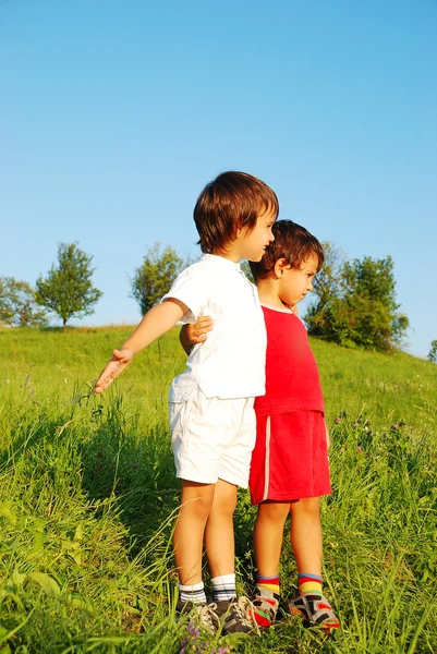 Kleine niedliche Kinder auf der schönen grünen Wiese lizenzfreie Stockfotos