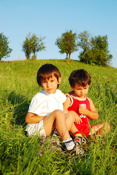 아름 다운 녹색 분야에 작은 귀여운 아이 들 스톡 사진