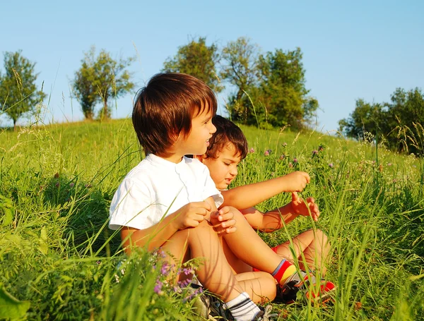 Pequenas crianças bonitos no belo campo verde Fotos De Bancos De Imagens