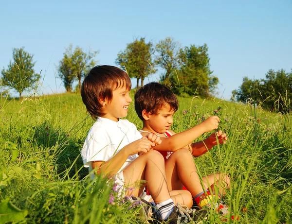 Pequenas crianças bonitos no belo campo verde Fotografia De Stock