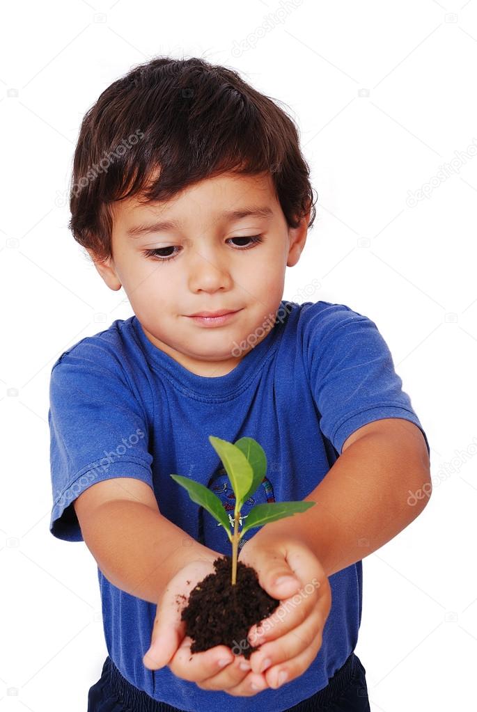 Little cute child holding green plant in hands