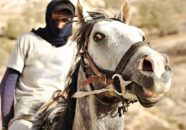 Primer plano de un jinete a caballo — Foto de Stock