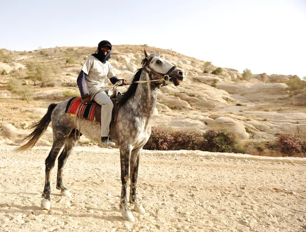 Paard en mens — Stockfoto