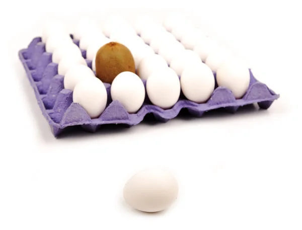 Um ovo por fileira de kiwis. Fundo branco. Conceito . — Fotografia de Stock