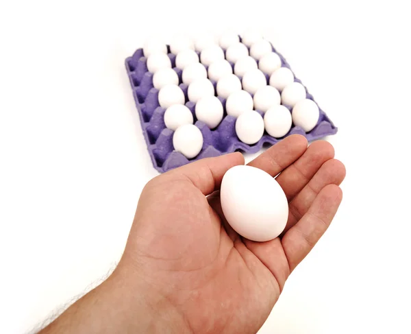 Vita ägg i rutan isolerade och mänskliga handen håller en — Stockfoto