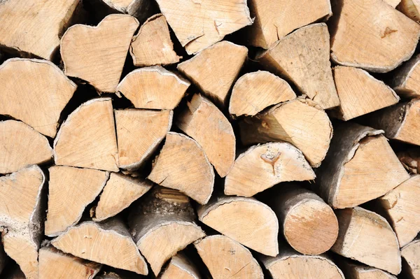 Freshly chopped fire wood — Stock Photo, Image