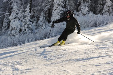 ski Resort, hızlı hareket, aşırı spor mevsimlik kayakçı Kayak