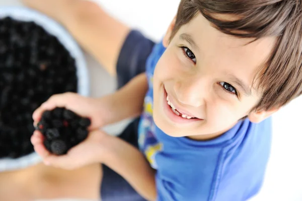 Blackberry hasat toplama — Stok fotoğraf