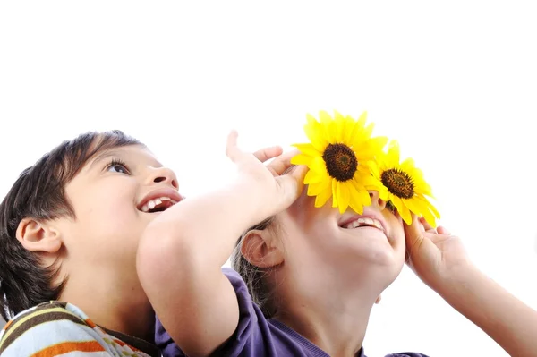 Little brother and sister holding sunflower — Stock Photo, Image