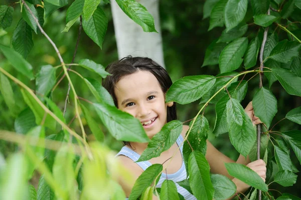 Closeup portrait of a little happy boy hiding in tree arms and l — Stock Photo, Image