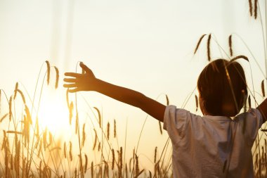 Mutlu çocuk hasat alanında