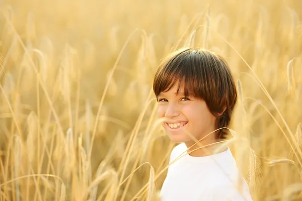 Happy child at harvest field — Stock Photo, Image