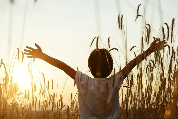 Niño feliz en el campo de cosecha — Foto de Stock