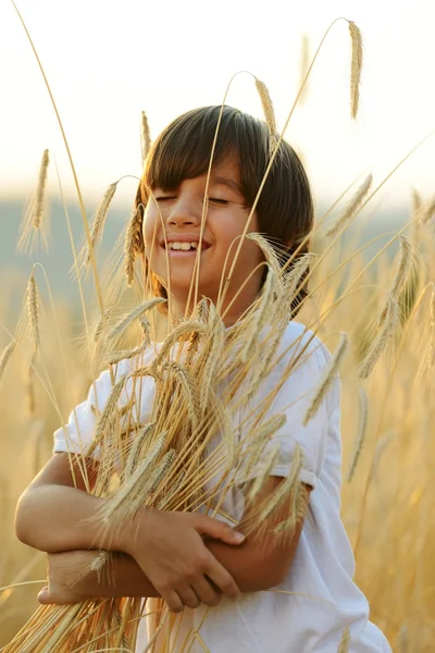 Boldog gyermek a betakarítási területen — Stock Fotó