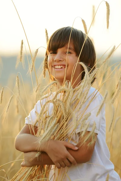 Happy child at harvest field — Stock Photo, Image