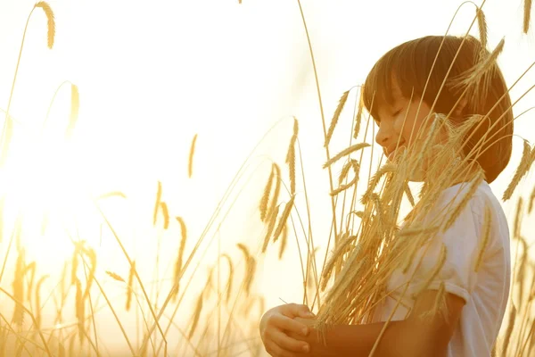 Happy child at harvest field — Stock Photo, Image