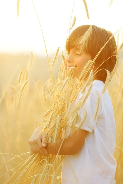 Щаслива дитина на полі урожаю — стокове фото