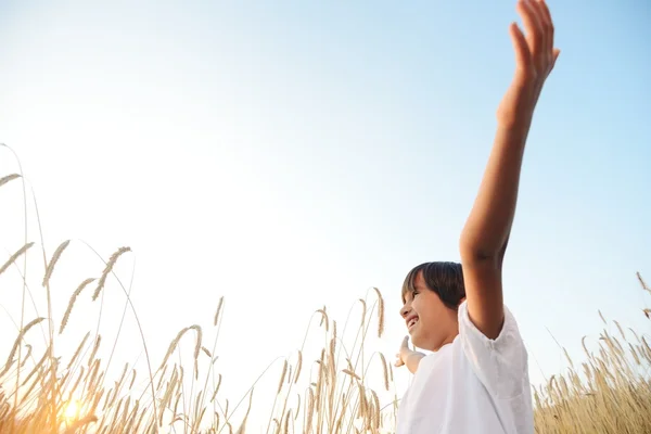 Niño feliz en el campo de cosecha — Foto de Stock