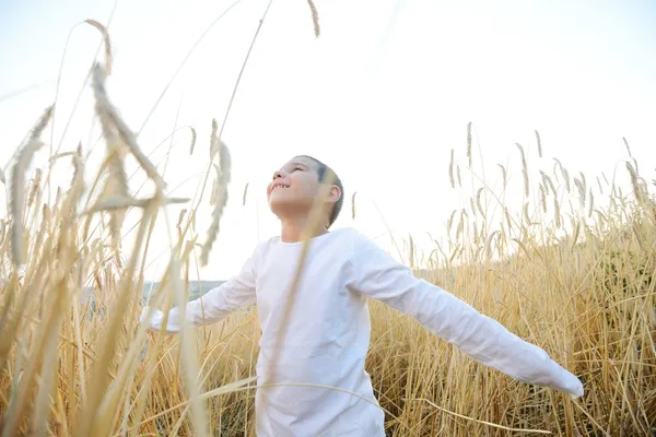 Happy child at harvest field — Stock Photo, Image