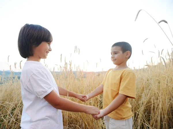 Two brothers at meadow — Stock Photo, Image