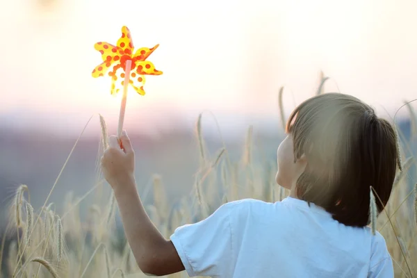 Happy child at harvest field — Stock Photo, Image