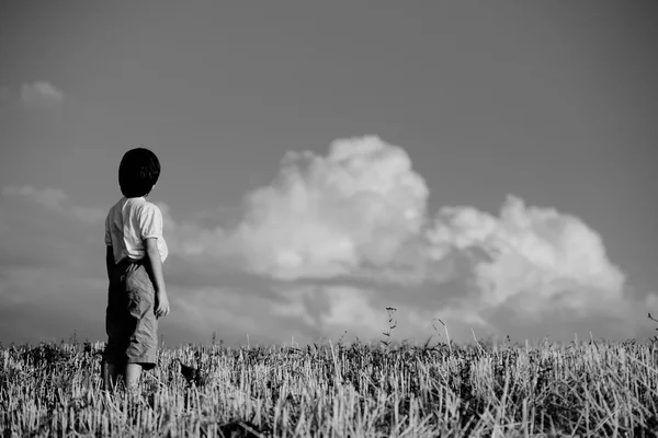 Kid standing on meadow alone — Stock Photo, Image