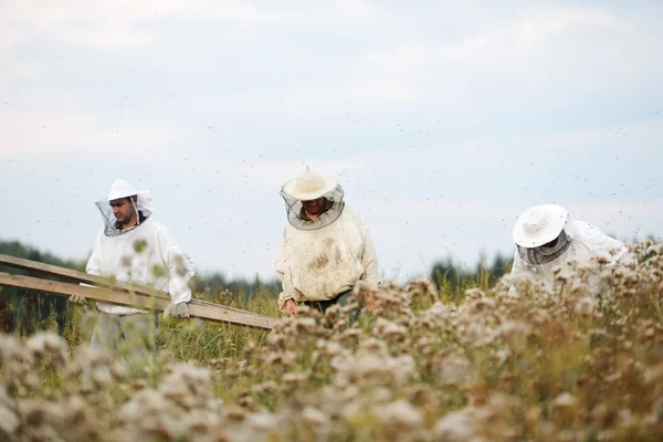 Οι μελισσοκόμοι που εργάζονται στο πεδίο — Φωτογραφία Αρχείου