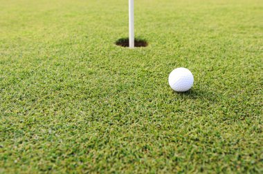 çim alan üzerinde delik golf topu