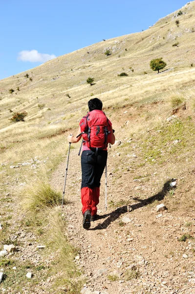 Kadın hiking dağlarda yürüyüş — Stok fotoğraf