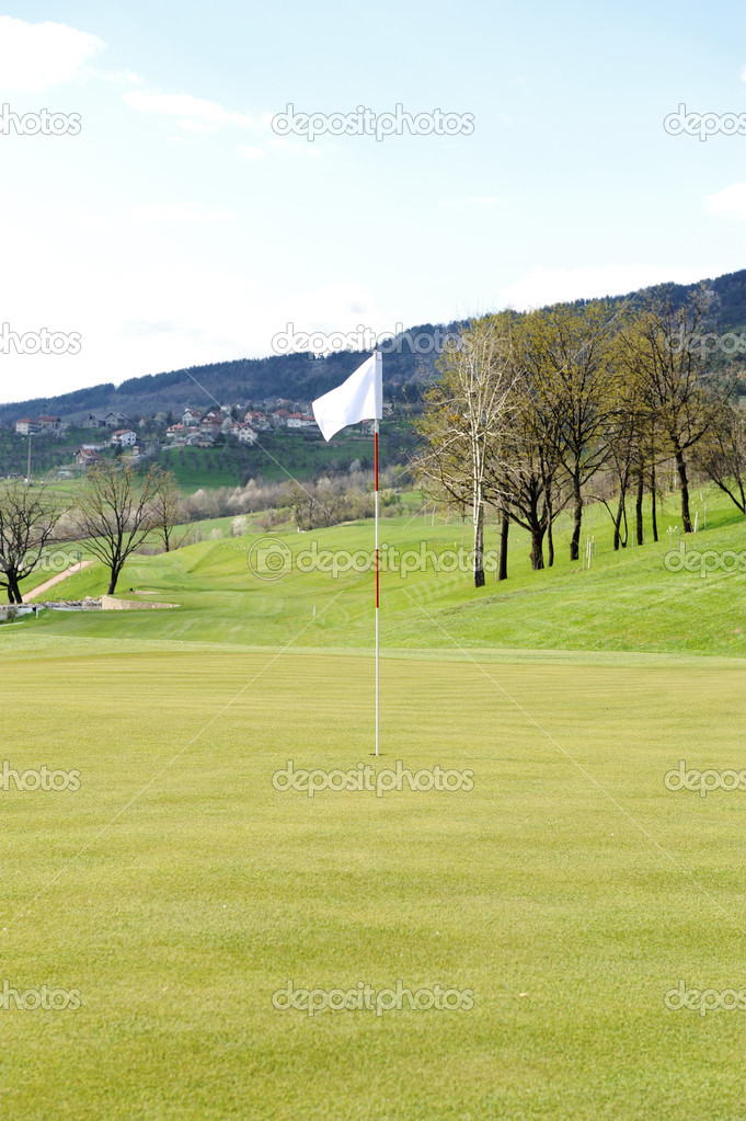 Flag on golf field
