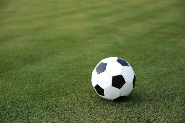 Football sur herbe — Photo
