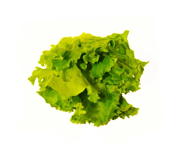 Листя салату, ізольовані — стокове фото