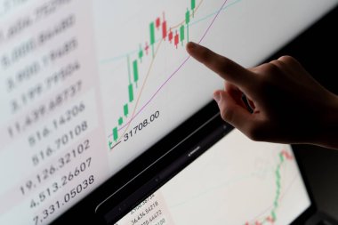 Bilgisayar ekranına bakan kripto tüccar yatırımcı analisti bilgisayardaki finansal grafik verilerini analiz ediyor