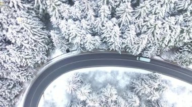 Hava - Arabaları ve kamyonları olan orman yolu