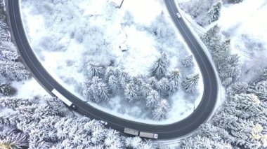 Hava - Arabaları ve kamyonları olan orman yolu