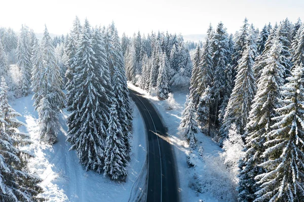 Droga w zimie koryta lasu pokryte śniegiem — Zdjęcie stockowe