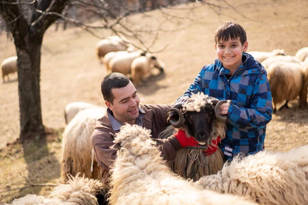 Veduta Orizzontale Pastore Che Regge Agnello Con Gregge Pecore Primo — Foto Stock